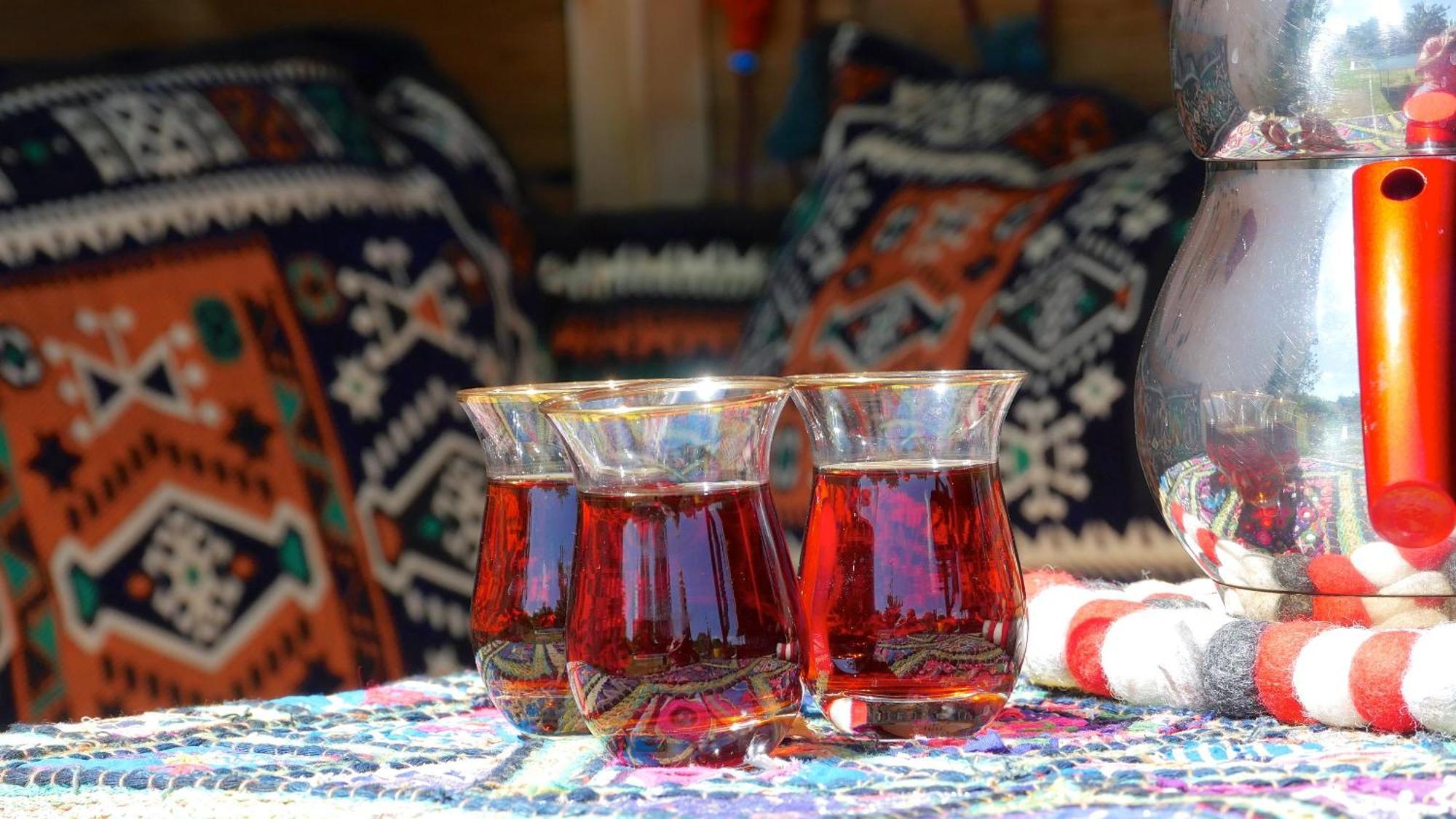 Les Jardins D'Ispahan Prignac-et-Marcamps Екстериор снимка