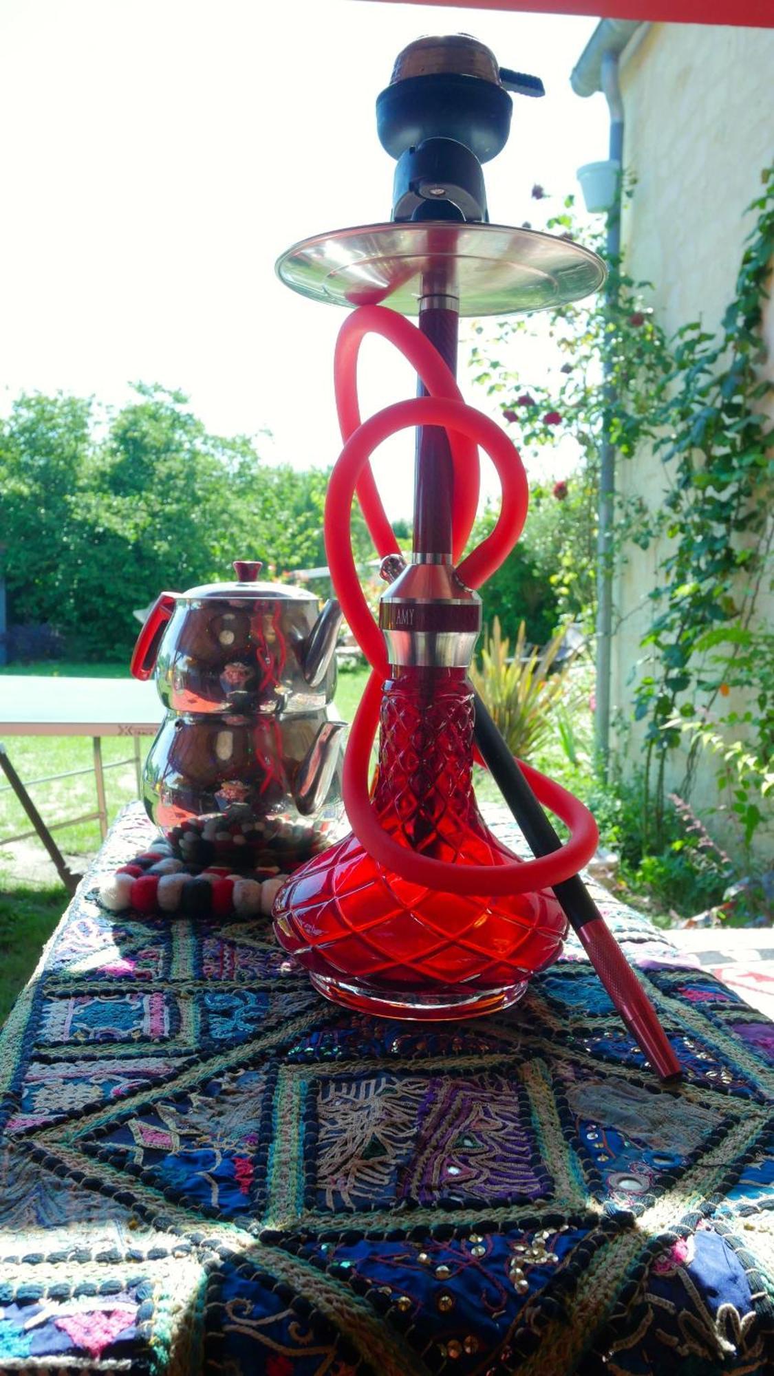 Les Jardins D'Ispahan Prignac-et-Marcamps Екстериор снимка